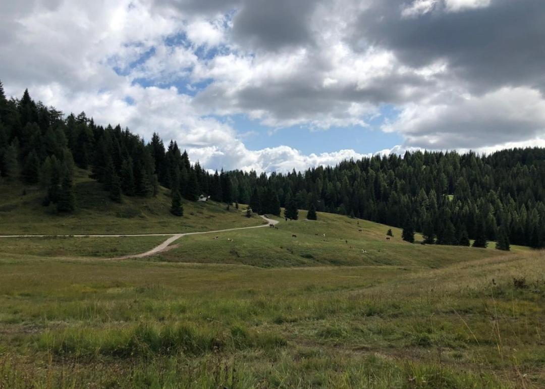 Appartamento Cologna Castelfondo 외부 사진