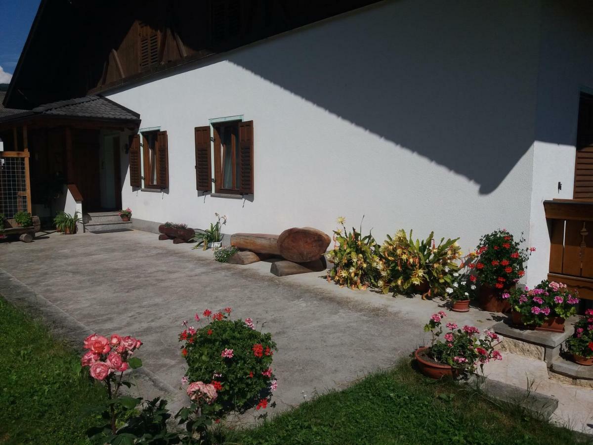 Appartamento Cologna Castelfondo 외부 사진