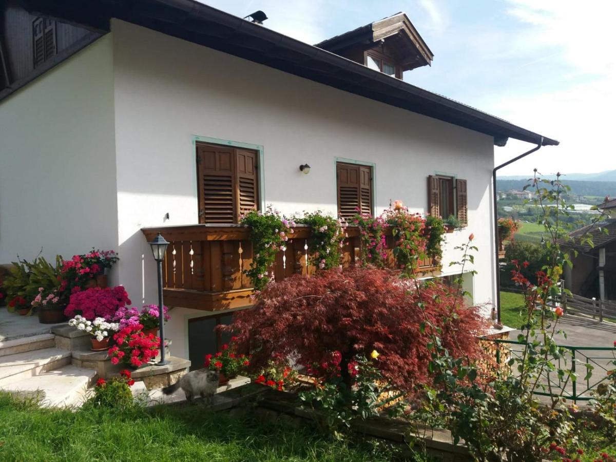 Appartamento Cologna Castelfondo 외부 사진