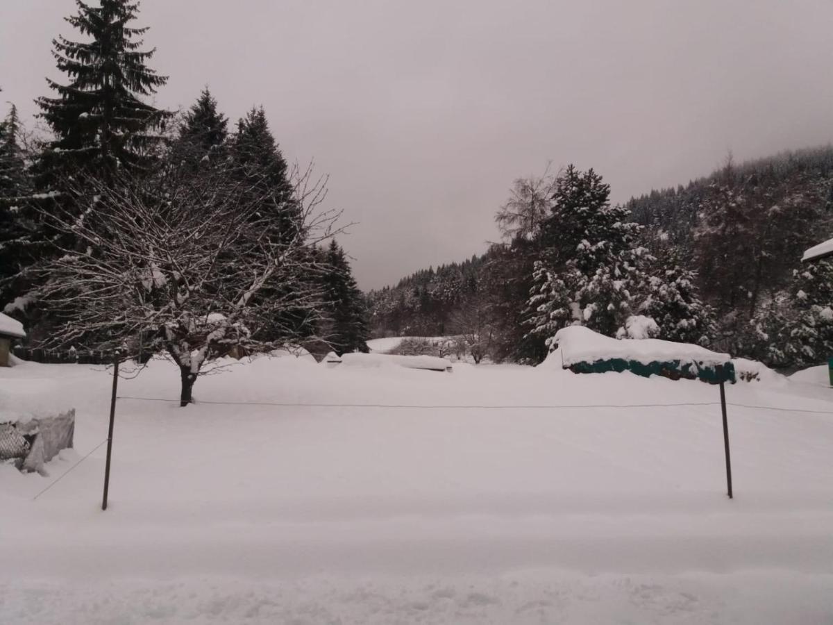 Appartamento Cologna Castelfondo 외부 사진